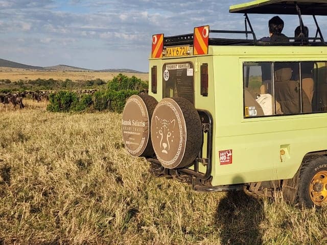 4-Day Masai Mara National Reserve