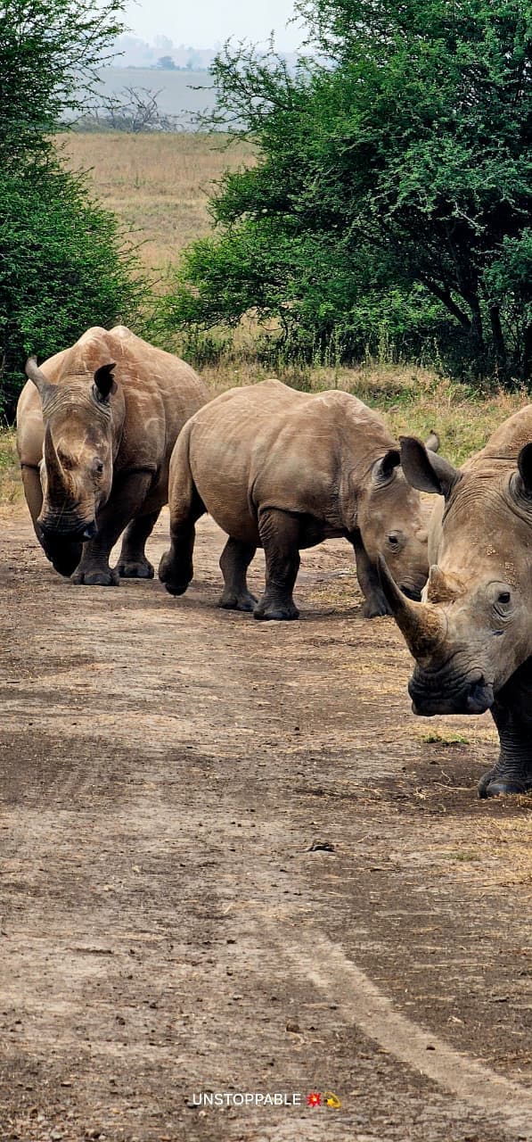 8-Day Kenya Signature Honeymoon