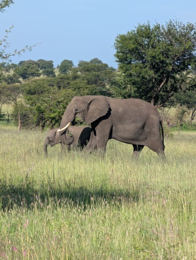 4-Day Group Safari - Zanzibar, Serengeti & Crater