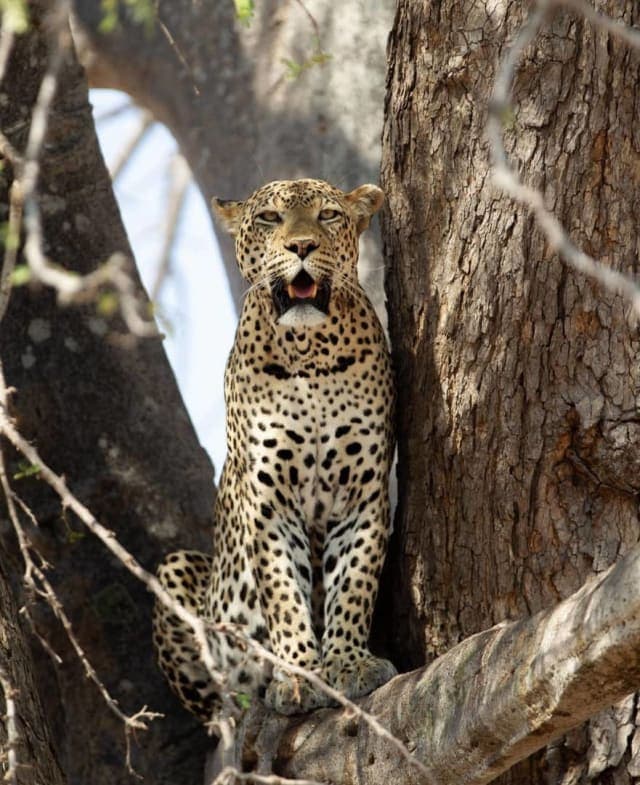 2-Day 1 night Adventure to mikumi National park by SGR