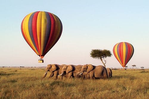 12-Day Uganda, Kenya & Tanzania's Predators, Craters & Primates wildlife Safari