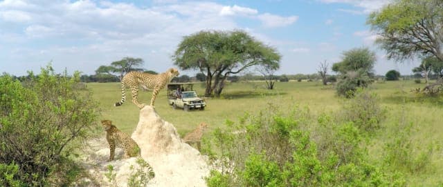 8-Day Victoria Falls, Chobe NP & Savuti Mobile Camping Safari