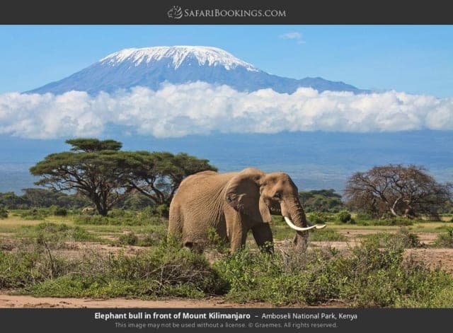 2-Day Amboseli safari from Nairobi