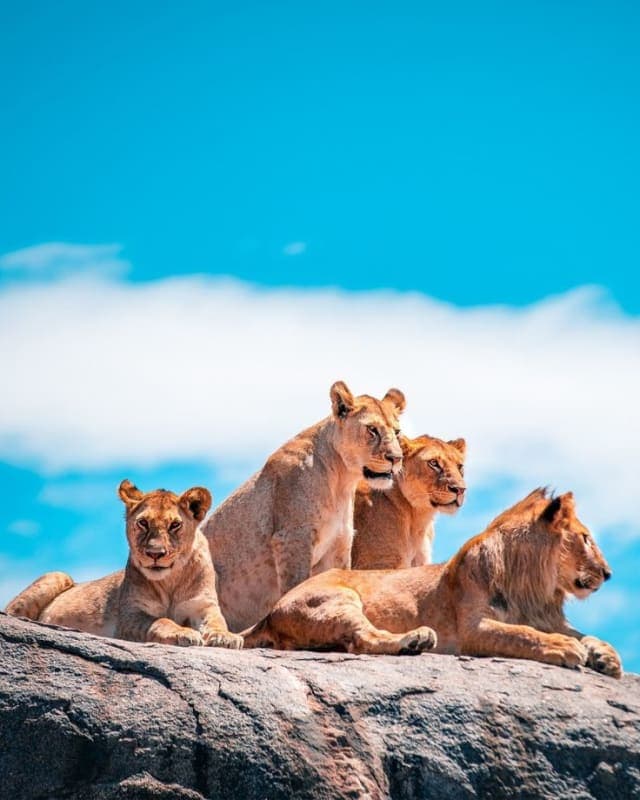 5-Day In the Heart of the Wild