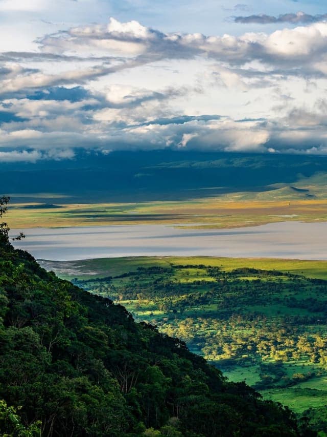 5-Day Day Budget Safari to Tarangire Serengeti & Ngorongoro