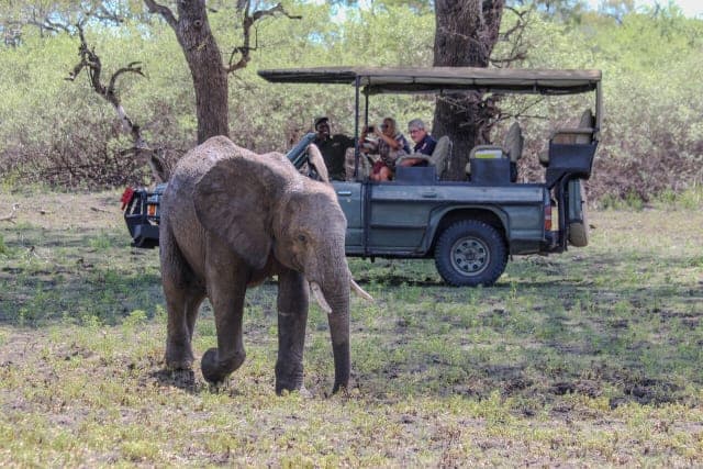 2-Day Fly-In Safari to Nyerere national park(Selous Game Reserve)