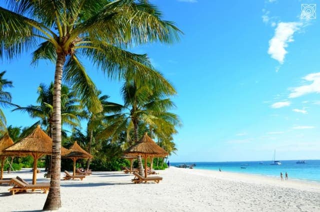 10-Day Best of Tarangire, Serengeti, Crater & Zanzibar