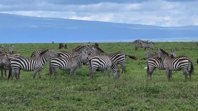 6-Day 6-Day Northen Tanzania