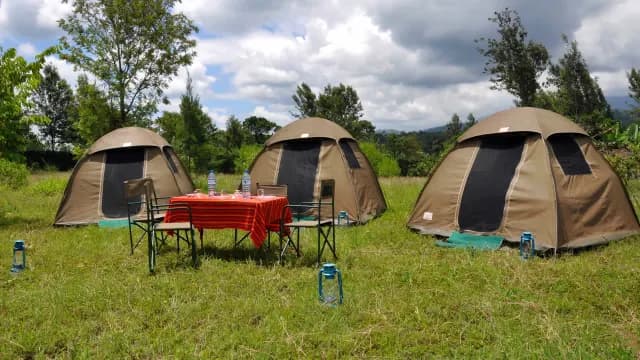 4-Day Classic Tanzania Safari (Tarangire • Serengeti • Ngorongoro)
