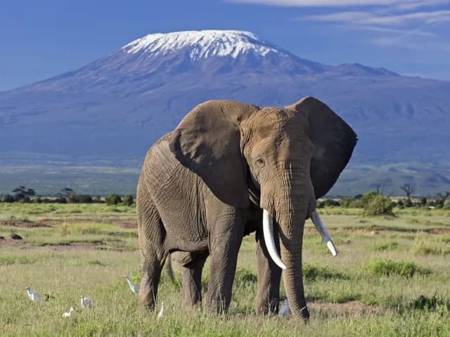 14-Day Thrilling Safari In Kenya And Diani Beach Tour
