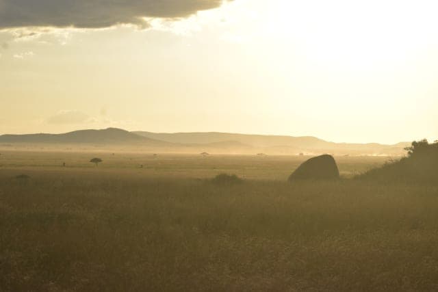5-Day Northern Circuit Safari Tanzania