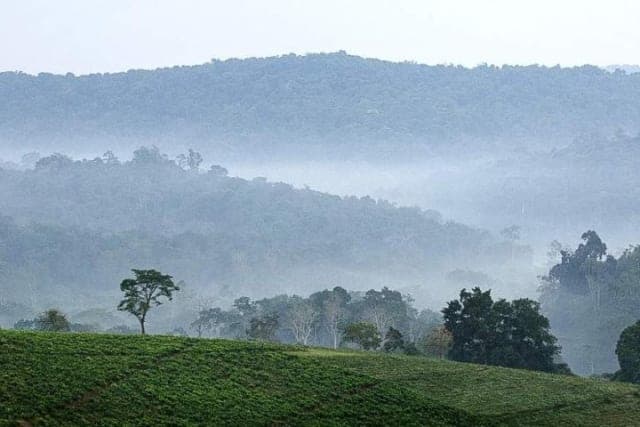 6-Day Budget Friendly African Safari and Gorilla Trekking