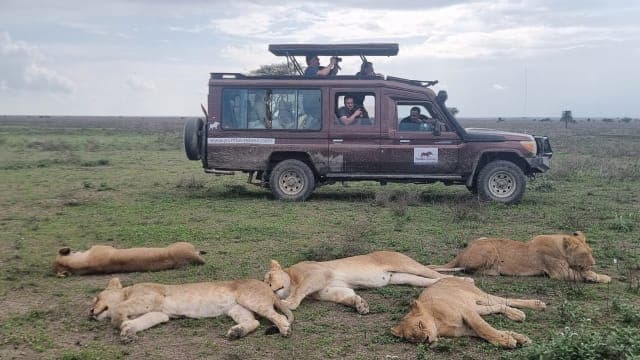 3-Day Shared Safari: Serengeti & Ngorongoro Crater