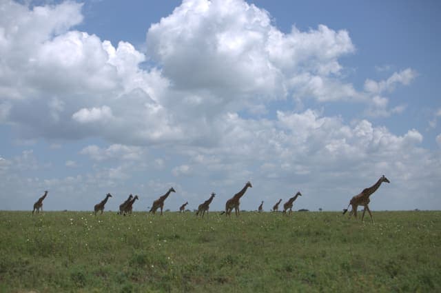 5-Day Best Value Northern Highlights safari