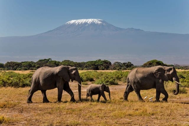7-Day Kenya Luxury Safari: Big Five & Lakes