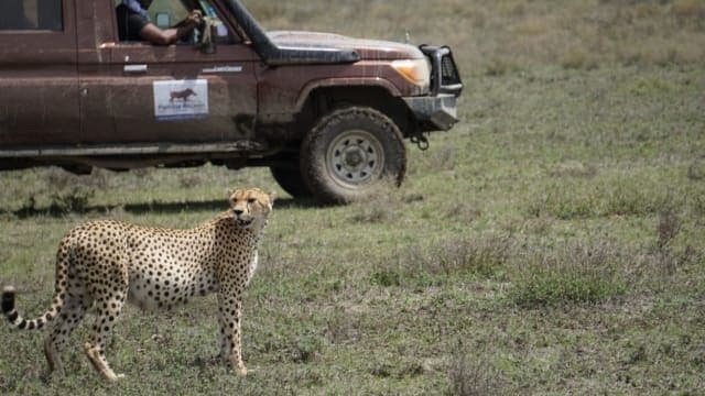 3-Day Wild Safari Adventure Serengeti & Ngorongoro
