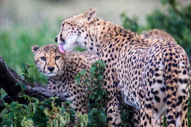 5-Day Classical Honeymoon Adventure