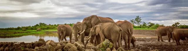 8-Day Magical Luxury Kenya Safari