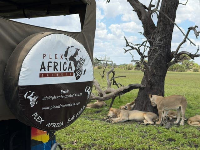 3-Day Safari in Nyerere National Park