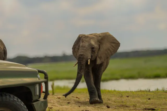 2-Day Private Safari from Dar es Salaam to Nyerere National Park
