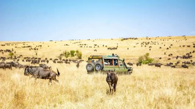 7-Day Serengeti and Masai Mara Flying Safari