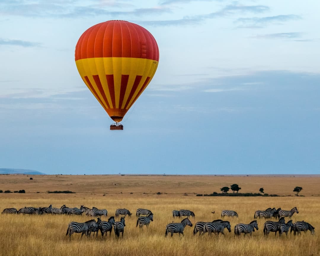 Complete Guide to Kenya Safari Costs: Visa, Flights, and Package Prices for Chinese Visitors in 2025
