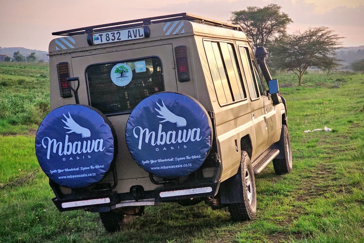 Mbawa Oasis Company Limited