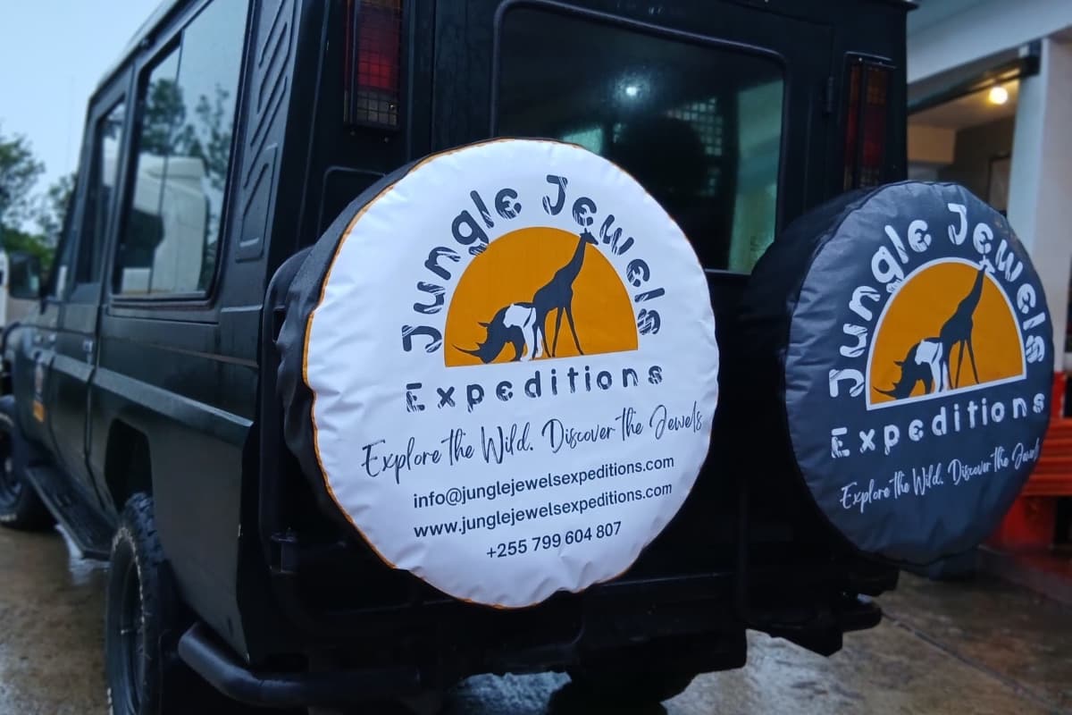 Jungle jewels expeditions